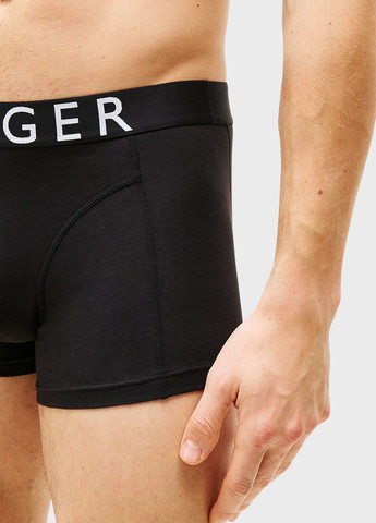 Труси (3 шт.) Tommy Hilfiger (347731707)