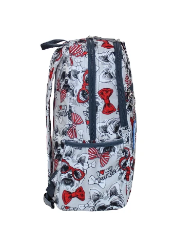 Рюкзак Young 13 л. (35х25х15 см) Bagland (251421574)