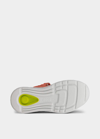 Оранжевые демисезонные кроссовки Ecco