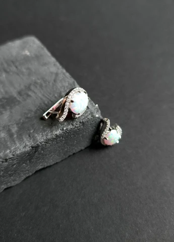 Сережки Silver Flame (317284928)