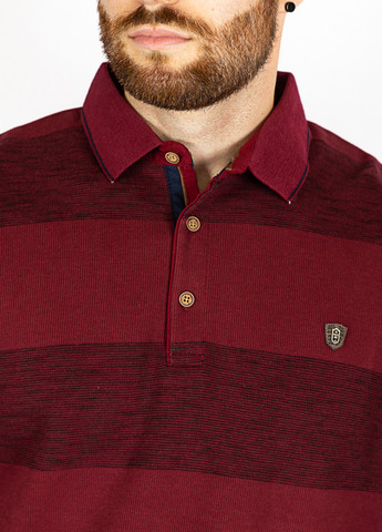 Бордовая футболка-поло для мужчин Time of Style в полоску