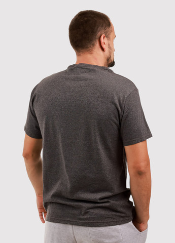 Сіра футболка Canvas