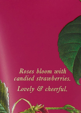 Набір Charming Rose (лосьйон, міст) Victoria's Secret (325923153)