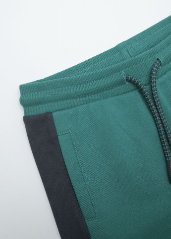 Зеленые спортивные демисезонные брюки джоггеры, зауженные Coccodrillo