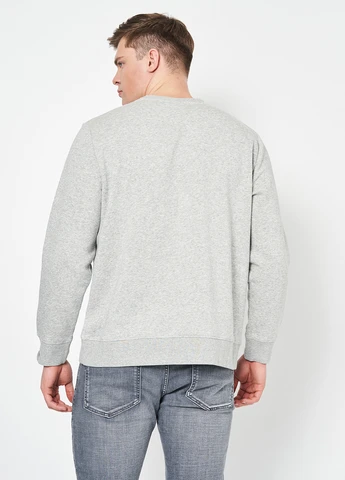 Серый свитшот H&M рисунок без декора (308472209)