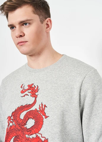 Серый свитшот H&M рисунок без декора (308472209)