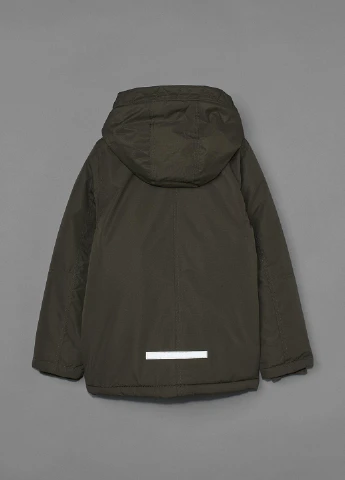 Парка H&M (254494649)