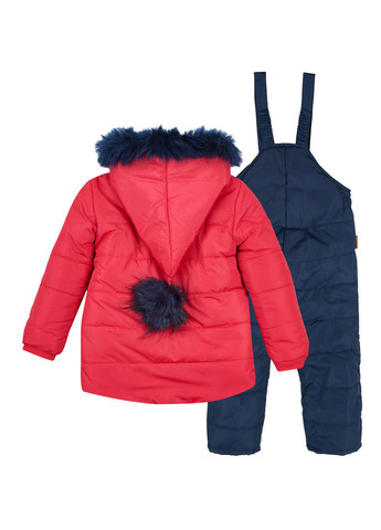 Комбинированный зимний комплект (куртка, комбинезон) Одягайко