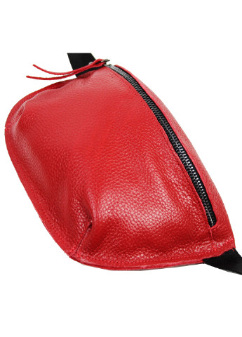 Женская кожаная сумка на пояс 21х12х5 см Borsacomoda (252129708)
