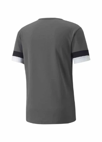 Сіра футболка 704932-13 Puma teamRISE Jersey
