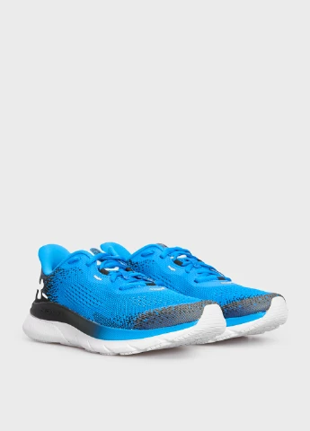 Кросівки Under Armour (299336138)