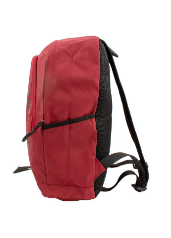 Чоловічий спортивний рюкзак Valiria Fashion (255405245)