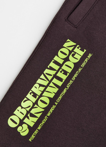 Темно-коричневые спортивные демисезонные джоггеры брюки H&M