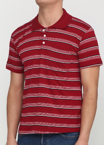 Светло-бордовая футболка-поло для мужчин Chiarotex в полоску