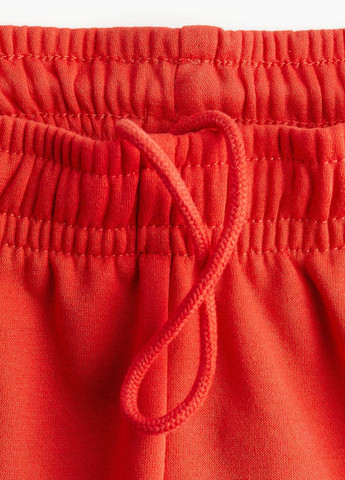 Шорти H&M (328957649)