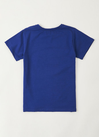 Синя літня футболка Flamingo