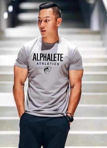 Сіра футболка чоловічі Alpha