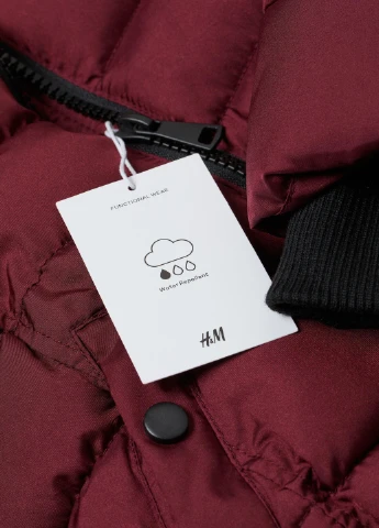 Сливова куртка зима,сливовий, H&M