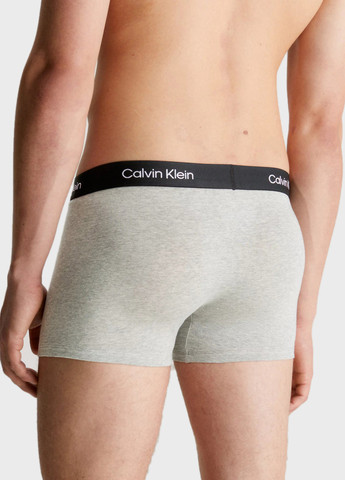 Труси (3 шт.) Calvin Klein (366438738)