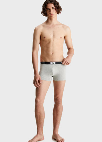 Труси (3 шт.) Calvin Klein (366438738)