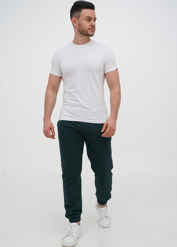 Зеленые спортивные зимние джоггеры брюки Trend Collection