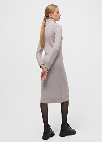 Бежева кежуал сукня сукня-водолазка Braska однотонна