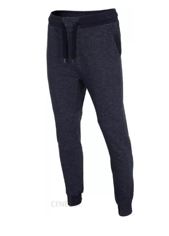 Штани 4F JOGGER (252955625)