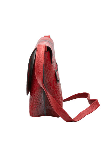 Жіноча шкіряна сумка-рідікюль 22х18х8 см Desisan (253032129)