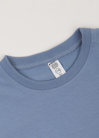 Синяя летняя футболка Garnamama