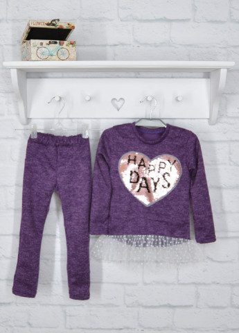Фиолетовый демисезонный комплект (свитшот, брюки) с длинным рукавом, брючный Blanka