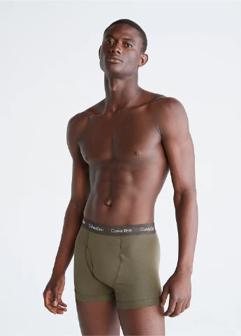 Труси (3 шт.) Calvin Klein (257347788)