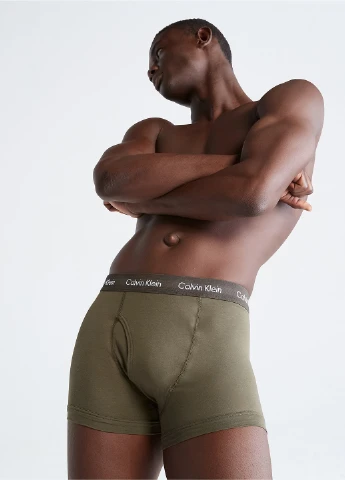 Труси (3 шт.) Calvin Klein (257347788)