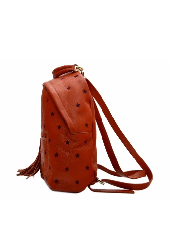 Рюкзак Coccinelle (70647882)