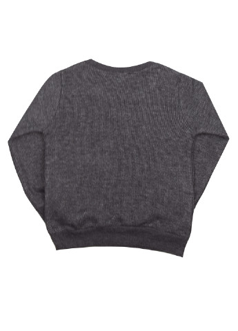 Темно-сірий демісезонний джемпер джемпер Breeze