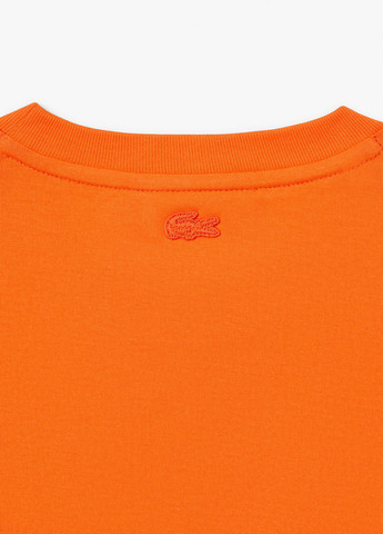 Футболка Lacoste - (329629323)