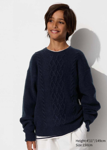 Темно-синій демісезонний джемпер джемпер Uniqlo