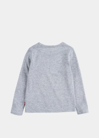 Лонгслів Levi's 4EA643-G2H (329038372)