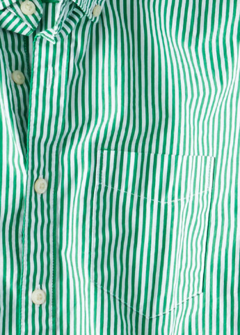 Зеленая кэжуал рубашка в полоску American Eagle с длинным рукавом