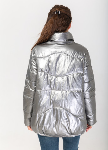 Срібна демісезонна куртка Icon
