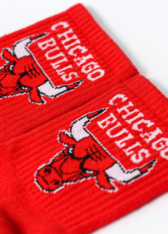 Шкарпетки Chicago Bulls Crazy Llama`s высокие (211434680)