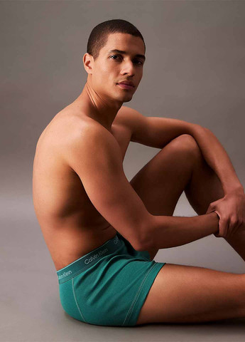 Труси (5 шт.) Calvin Klein (367175383)