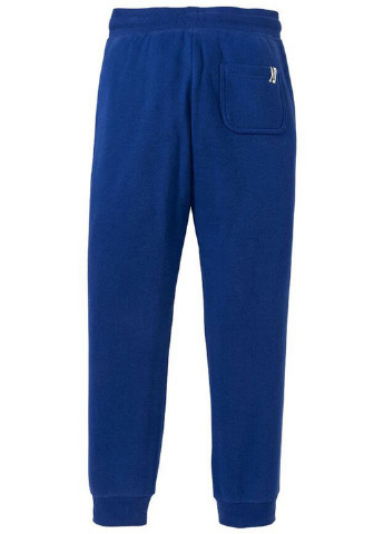 Синие спортивные демисезонные брюки Pepperts