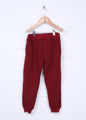Бордовые кэжуал зимние со средней талией брюки Shik