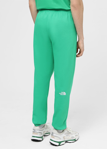 Бирюзовые спортивные, кэжуал летние джоггеры брюки The North Face