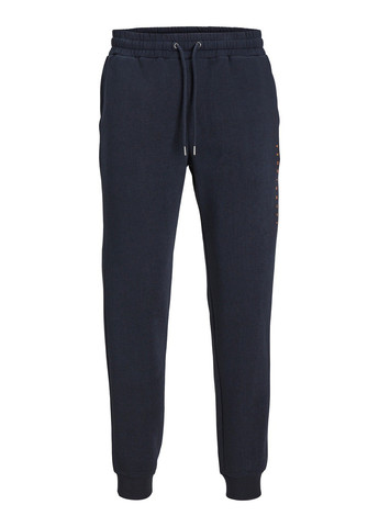 Темно-синие спортивные, кэжуал демисезонные джоггеры брюки Jack & Jones