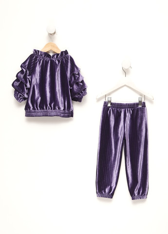 Темно-фіолетовий демісезонний костюм (блуза, штани) брючний HABITUAL