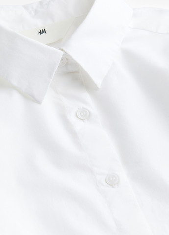 Сорочка H&M (306380219)