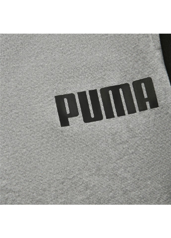 Серые спортивные демисезонные брюки Puma