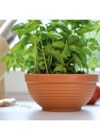 Миска для квітів 8, 34х34х13.6см терракотовая(15088) Prosperplast (218988470)