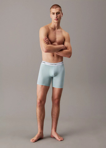 Труси (3 шт.) Calvin Klein (370979650)
